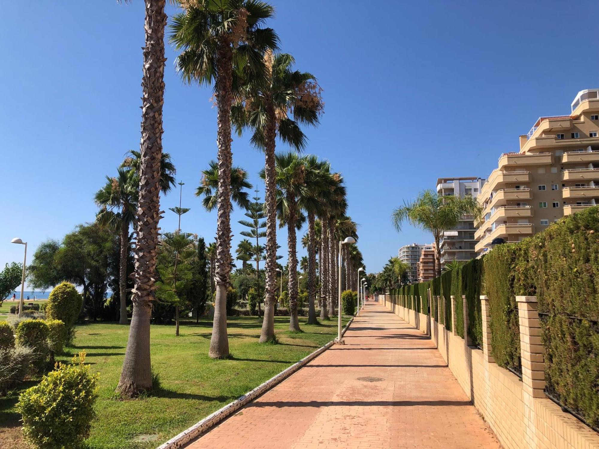 Apartmán Edessa - Primera Linea Oropesa del Mar Exteriér fotografie